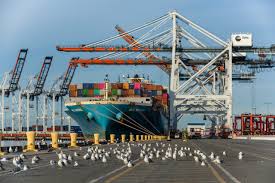 forwarder china belgium