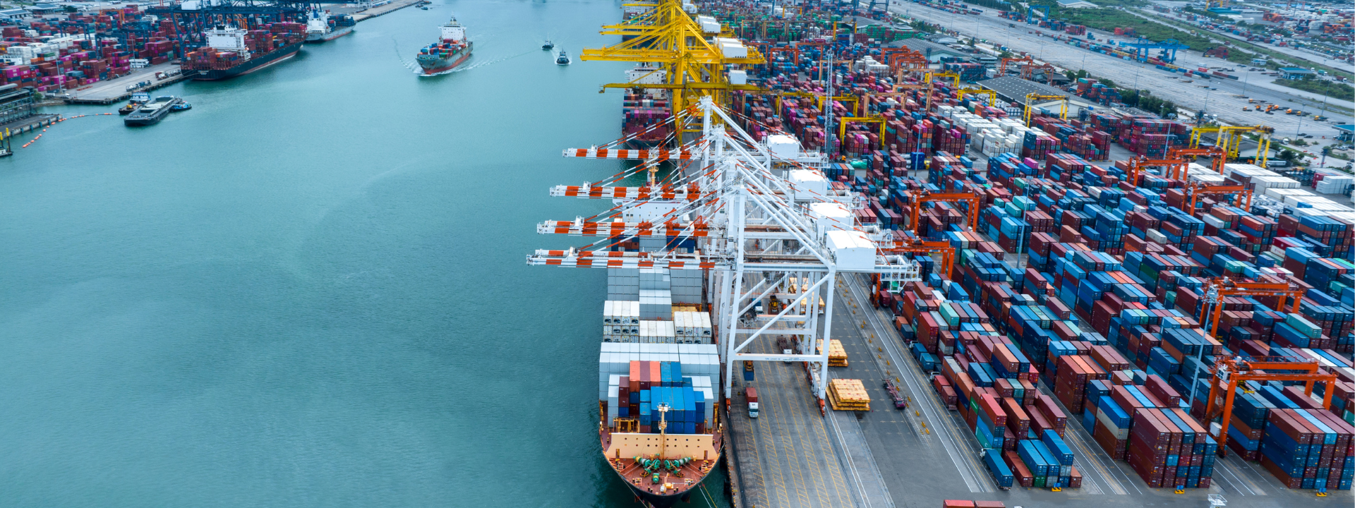 ocean freight rates from china to usa