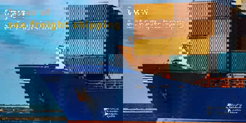 sea freight from china to usa time