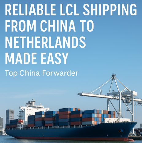 reliable LCL shipping from China to Netherlands