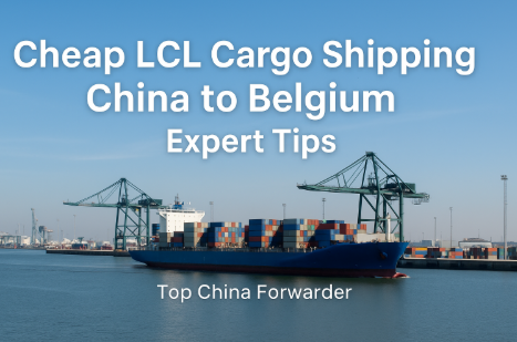 cheap LCL shipping from China to Belgium