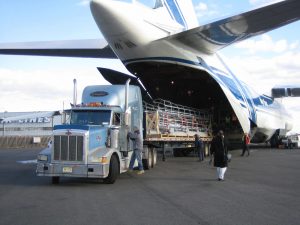 reliable air freight from China to Netherlands
