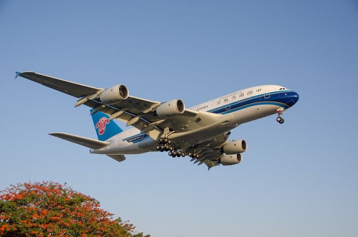 china southern airlines freight