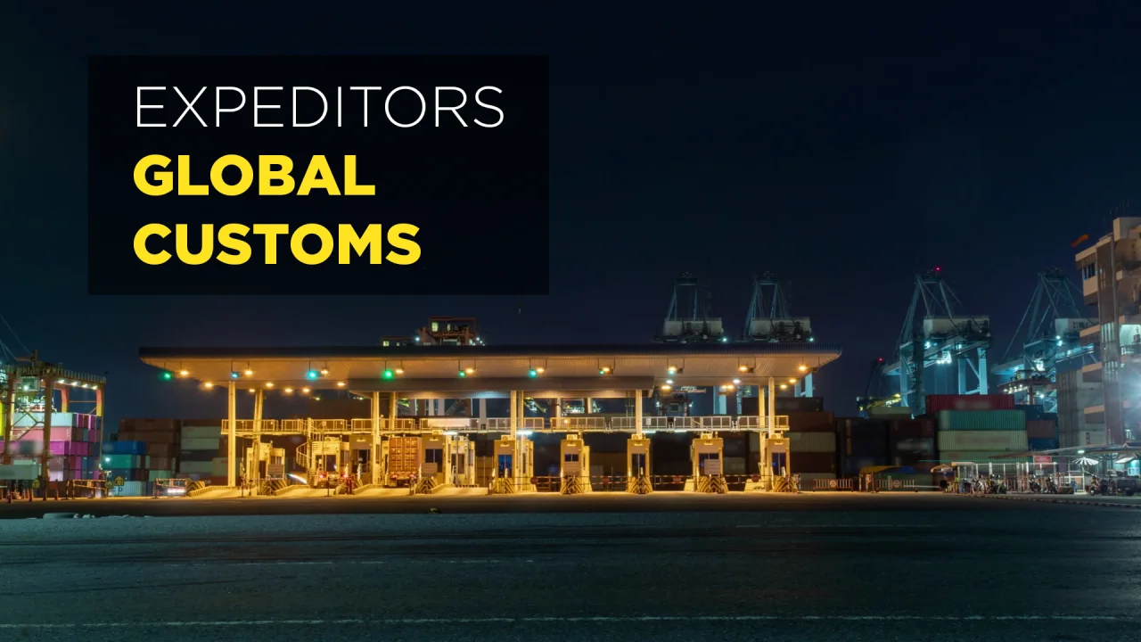 professional customs clearance from China to France