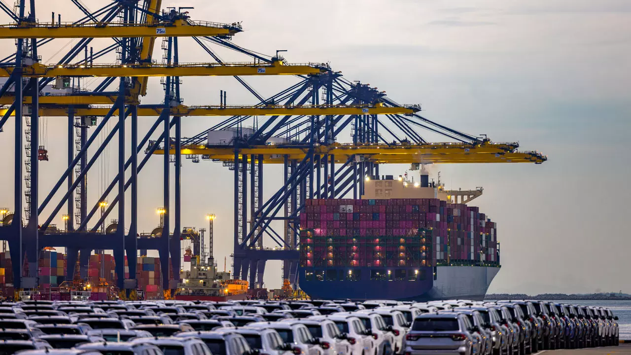 professional LCL shipping from Shenzhen to Germany