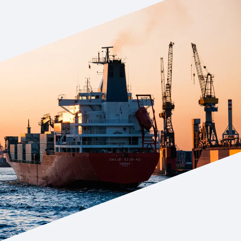 FCL shipping china to germany