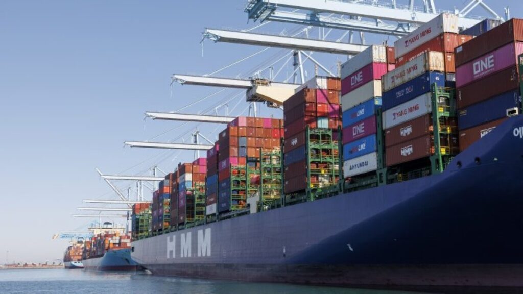 fast FCL shipping from China to UK