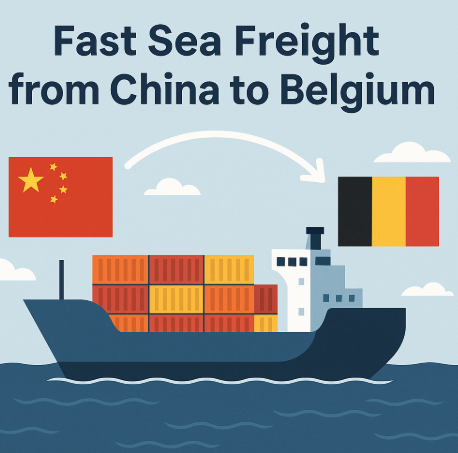 fast sea freight from China to Belgium