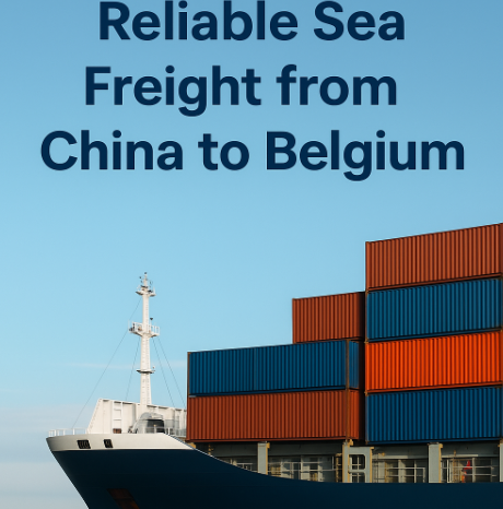 reliable sea freight from China to Belgium