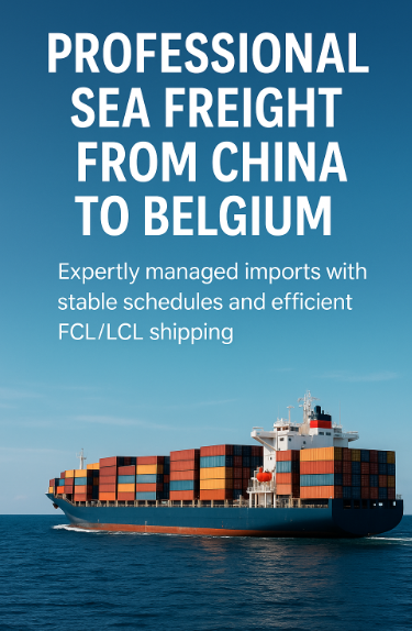 professional sea freight from China to Belgium