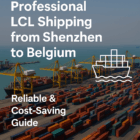 professional LCL shipping from Shenzhen to Belgium
