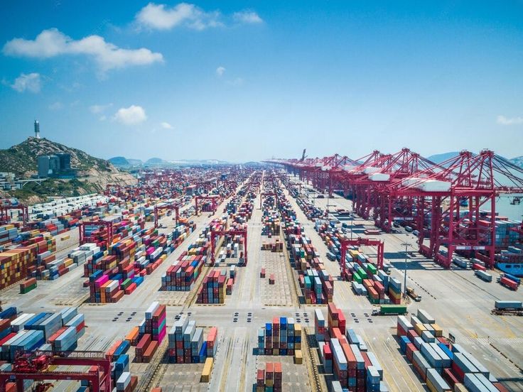 ocean freight china to netherlands