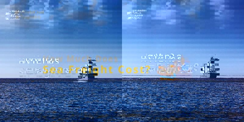 reliable customs clearance from China to Italy