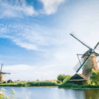 40HQ FCL space availability for toys from China to Netherlands