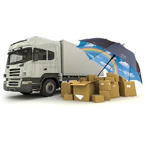 40HQ FCL demurrage prevention for toys from China to Czech Republic