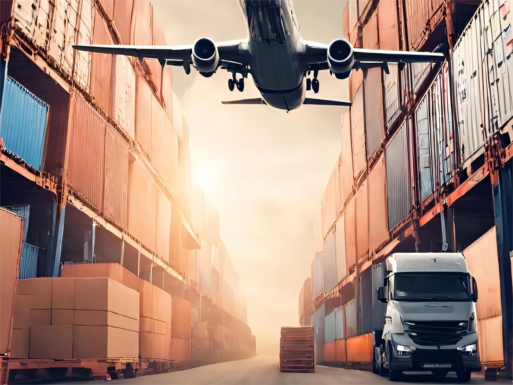 Freight forwarder discussing logistics with a client